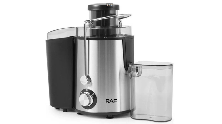 آبمیوه گیری تک کاره راف مدل R2817 ظرفیت ۴۵۰ میلی لیتر