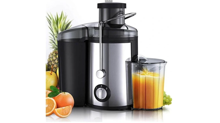 آبمیوه گیری تک کاره راف مدل R2817 ظرفیت ۴۵۰ میلی لیتر